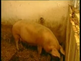 Es lebe das landleben - baeuerin sono schweinestall gefickt